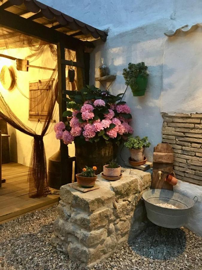 La Mimosa Villa Carcastillo Eksteriør billede